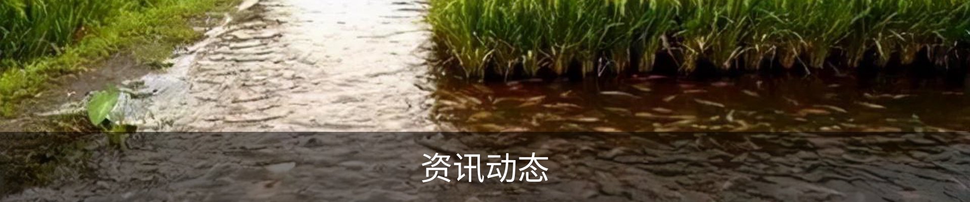 资讯动态